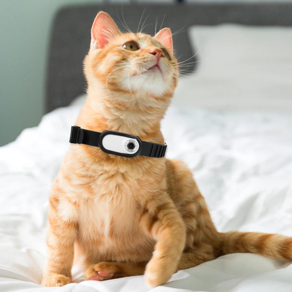 Camera Collar for pet Cats & Dogs