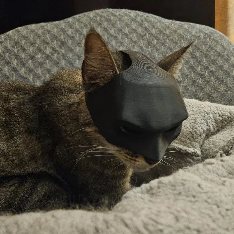 pet Cat Bat Mask