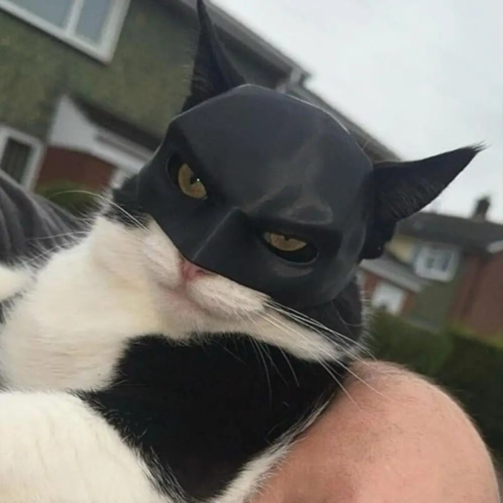 pet Cat Bat Mask