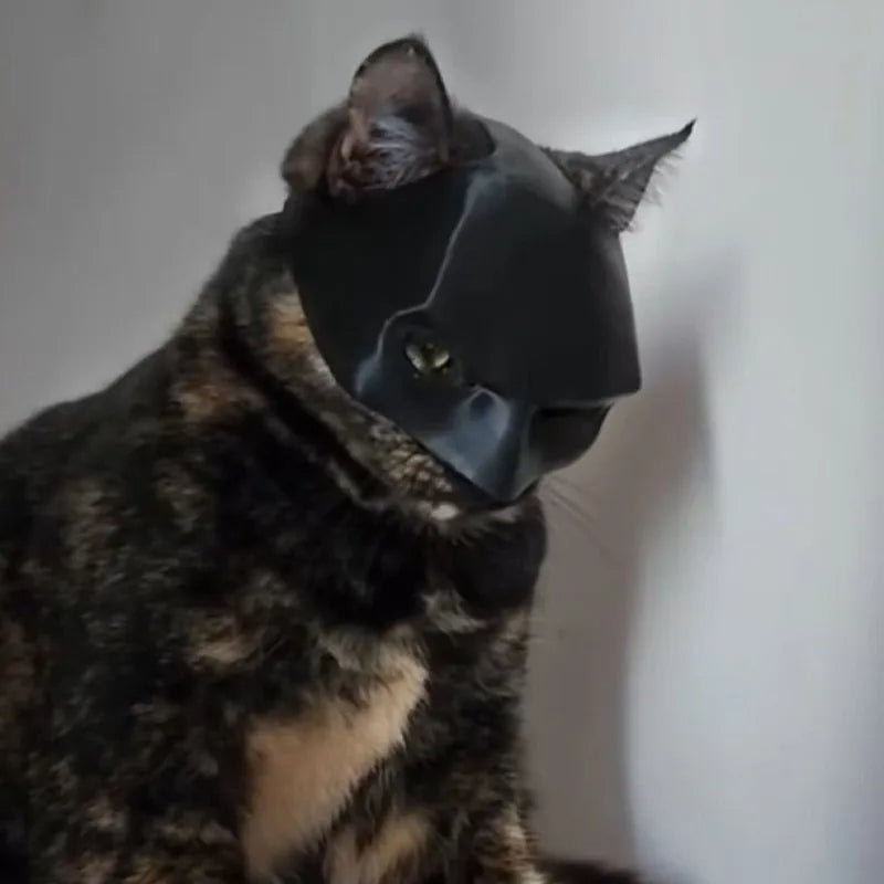 pet Cat Bat Mask