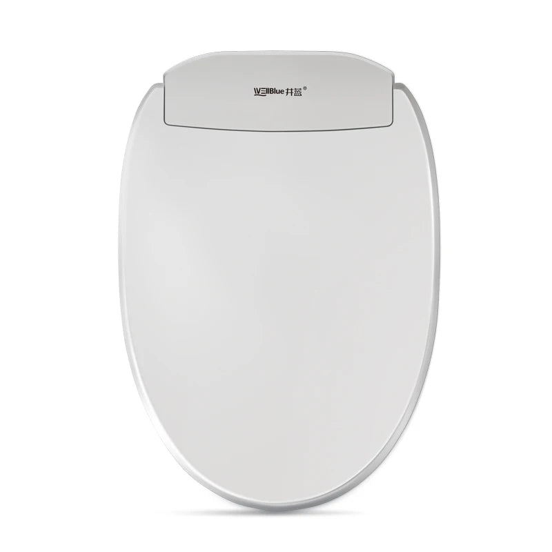 Wellblue Manufacturer Warm Intelligent Toilet Smart Bidet Wc Toilet Cover